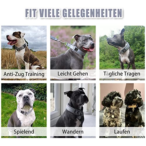 Weich Neopren Gepolstert Hundehalsband (4cm Breite) Reflektierend Hund Halsband mit Robust Nylon & Zugstopp, Bequem Zughalsband Dressurhalsband für Kleine Mittlere Große Hunde Anti-Zug Walken M,Grau