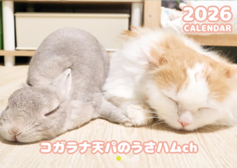 Amazon | 【予約販売】 うさぎのコガラナ天パのうさハムch 2026年