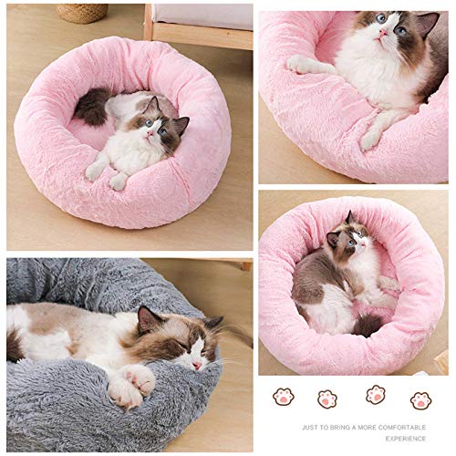 PETCUTE Cuccia per Cani Cuccia Gatti Letto per