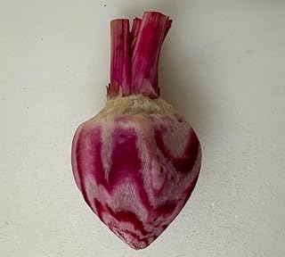 30+ Romaine Lettuce Salad Recipes That Are Crisp and Delicious 85 Fresh Hand-Carved Candy Stripe Baby Beets - 1