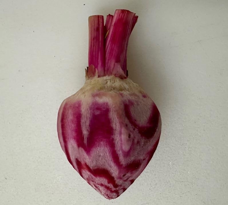 Fresh Hand-Carved Candy Stripe Baby Beets - 1" Top, Avg 110 Pieces, 5 Lb Case, Bulk for Professional Kitchens, Vacuum-Sealed