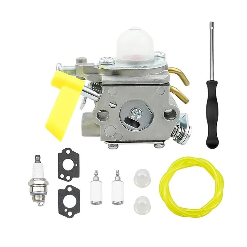 Carburateur C1U-H60 pour réparer une panne de moteur RY09050