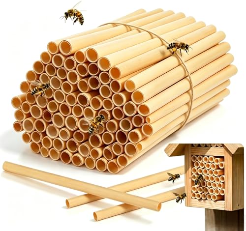 100PCS Mason Bee Tubes Phragmite Reed Bee Tubes Honeycomb Reed Tubes Bees House Nest for The Garden Pollinator House Gardening Gifts