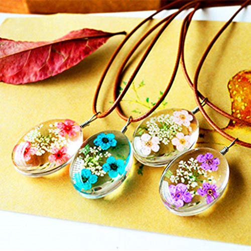 Flores Secas Prensadas para Resin Artesanías DIY miniatura 5