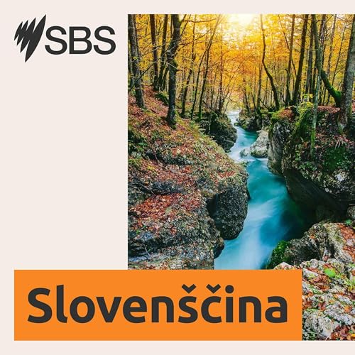 Zadnja slovenska oddaja na Radiu SBS