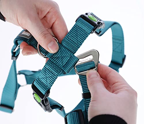 Kerbl Pet Panikgeschirr, Hundegeschirr, petrol, Halsulmfang 38-52cm, Gurtbreite 20mm, für ängstliche Hunde, robust, verstellbar