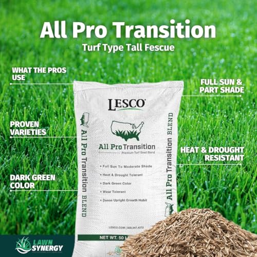 Lesco All-Pro Transition Tall Fescue Grass Seed Blend (50 lbs) – Drought-Tolerant, Heat & Shade Resistant, Insect-Resistant Lawn Seed for Durable Turf