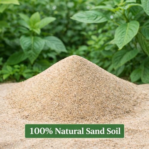 Image of Balu Mitti (Desert Sand) for Gardening | Natural Sand for Potting Mix, Home Garden, Pots & Outdoor Plants | 1800g