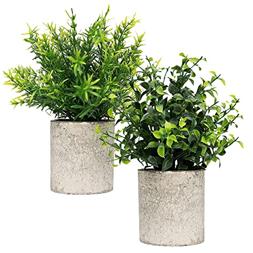 Modern Farmhouse Decor Small Fake Plants (2 Piece Plant Decor 9" Tall Artificial Plants) Great Mantle Decor Office Decor Women Table Centerpieces Dining Room Desk Decor Rustic Bathroom Decor