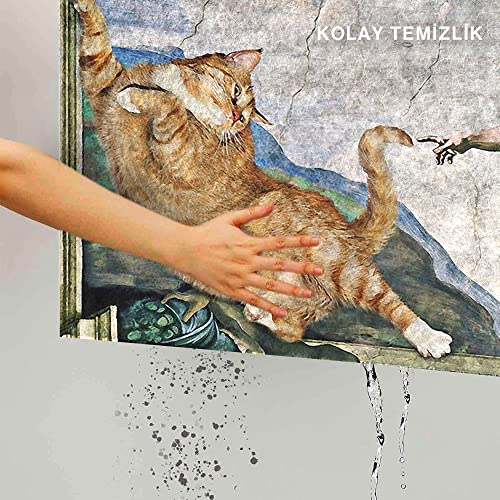 Monnhein Kedi Köpek Komik Tasarımlı Dekoratif Kapı önü Paspas, Dış Mekan/Ev İçi/Banyo/Mutfak/Yatak Odası/Giriş Paspasları (Kedinin Yaratılışı, 45x70)
