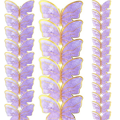 Papillon doré gâteau anniversaire violet 3D pour réussir facilement toutes vos pièces montées