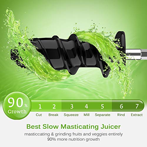 Low Speed Masticating Juicer Extractor, BPA Free Cold Press Juicer, Quite Motor, with Cleaning Brush, Bigger Container, High Nutrient Juice Reducing Oxidation (Silver)