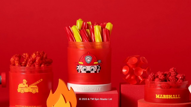 Amazon.com: Whiskware Paw Patrol Stackable Snack Containers for