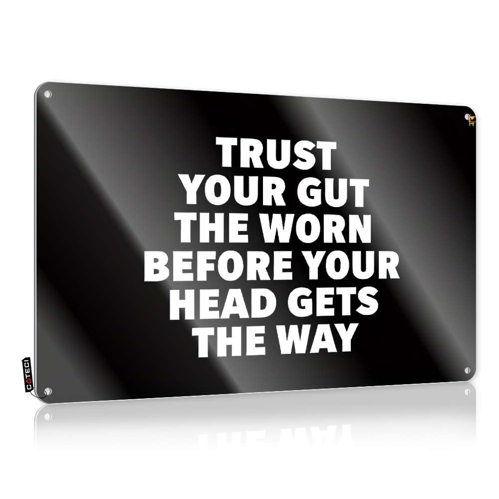 Hanging Graduation Art - Trust Your Gut, Not Your Head. Pretty Metal Wall Art Ready To Hang For Garden(30X40CM)