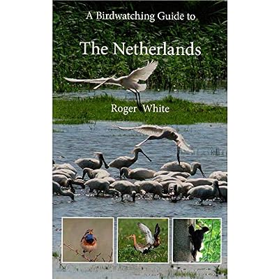 A Birdwatching Guide to The Netherlands