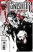 Read Punisher War Journal #17 Epub