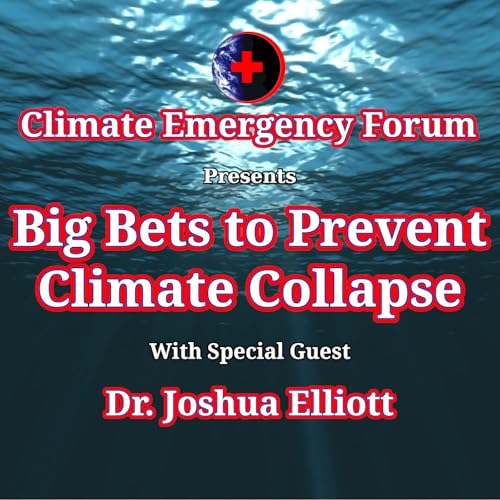 Big Bets to Prevent Climate Collapse