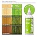 Red by Kiss Tintation Semi-Permanent Hair Color, Aloe Vera Water Based, Argan Oil, Olive Oil, Collagen & Keratin, Long-Lasting Color Dye (Lime Light, 5 Fl Oz)