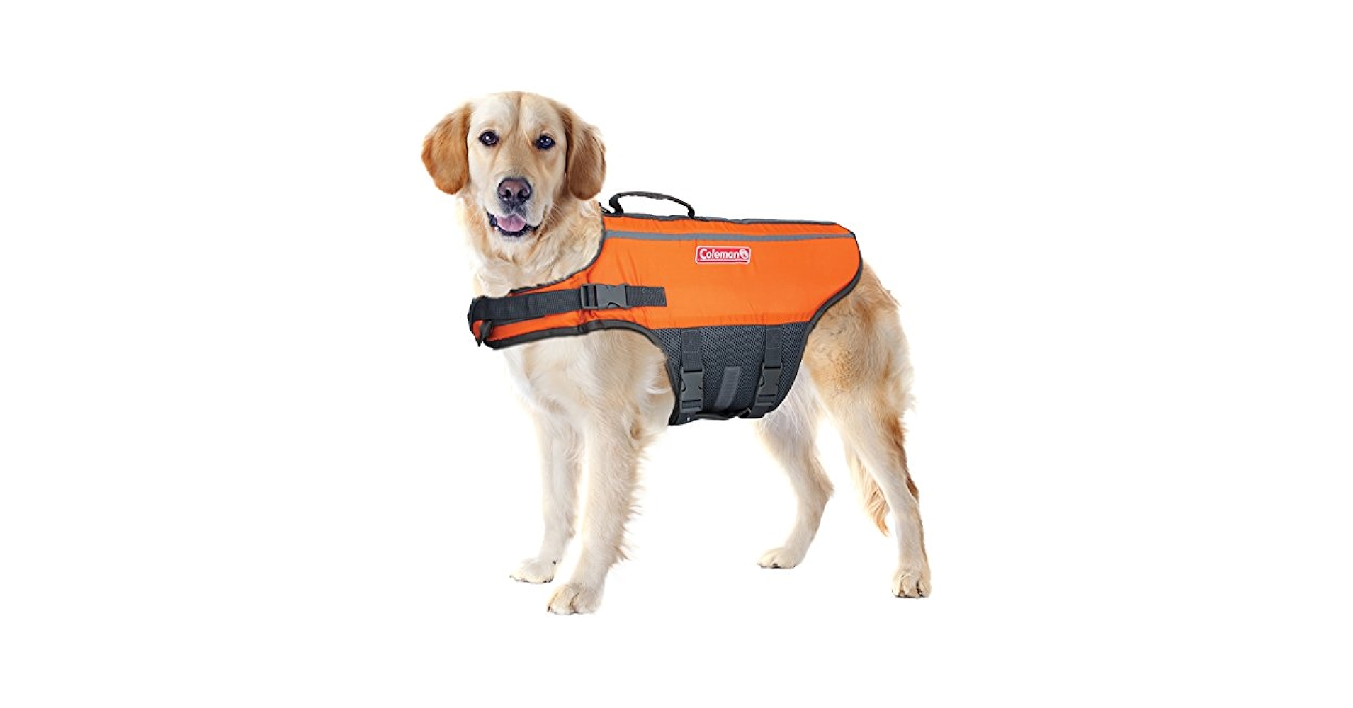 Colemanペットプールボートビーチ湖のFlotationベスト 楽天市場】Colemanペットプールボートビーチ湖のFlotationベスト