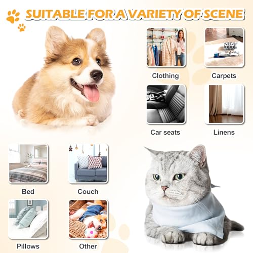 2 Stück Bimsstein, Tierhaarentferner für Haustiere, Fußpflege Werkzeug und Teppich Hundefell Entfernung