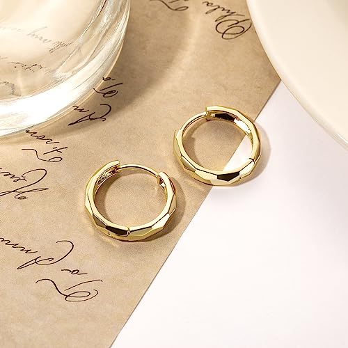 ENROSE 14K Gold Hoop Earrings for Women Trendy Earrings Small Hoop Earrings Chunky Gold Hoops Earring Noble Artwork Hypoallergenic Earring for Womens4