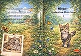  Diego - Sammelband 1: Diego-Pfoten ins Abendteuer (German Edition)