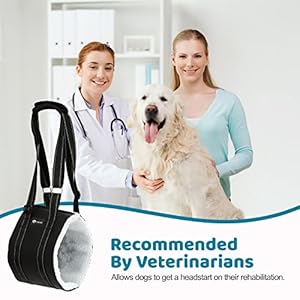20-130-lbs-Dog-Lift-Harness-for-Large-Dogs-Dog-Sling-for-Large-Dogs-Hind-Leg-Support-Dog-Support-Harness-for-Back-Legs-Help-Lift-Rear-for-Canine-Up-and-Down-Stairs-Canine-Aid-Medium-Black - Cucciolini Doodles   20-130-lbs-Dog-Lift-Harness-for-Large-Dogs-Dog-Sling-for-Large-Dogs-Hind-Leg-Support-Dog-Support-Harness-for-Back-Legs-Help-Lift-Rear-for-Canine-Up-and-Down-Stairs-Canine-Aid-Medium-Black