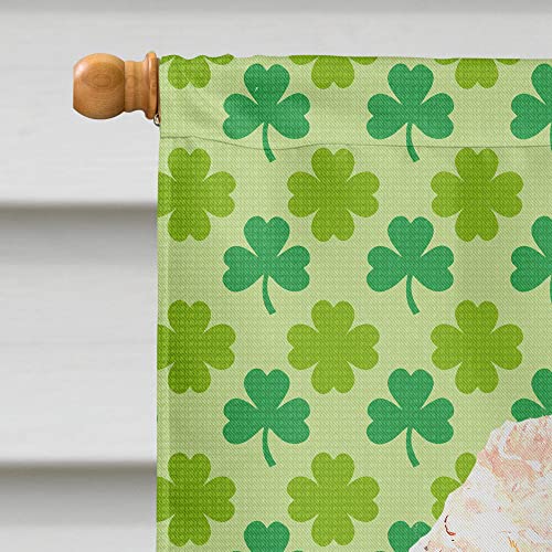 Caniche de la Saint-Patrick drapeau de maison en toile chanceuse