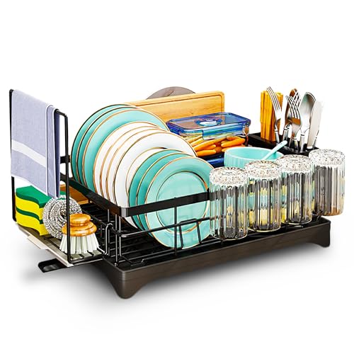 Dish Rack for Kitchen Counter, Rust-Proof Iron, 1 Tier, Detachable Cup Holder, 270 Degree Water Slot - Black