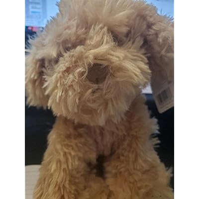 cockapoo teddy bear toy