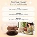 Fuel Brain Boost Mushroom Coffee Nutrition, Organic Blend for Gut Health, Lion's Mane Powder, Chaga & Mushroom Powder Low Caffeine Instant Coffee, Nootropics Drink, 30 Servings