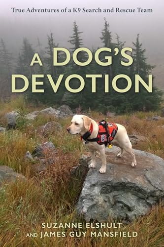 A Dog's Devotion view 2