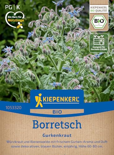 Kiepenkerl Borretschsamen Gurkenkraut 1053320 - Erfrischendes Gurkenaroma, Einfache Anzucht, Borretschkräuter für Salate & Getränke, Kräutersamen Bio für 50 Pflanzen