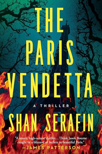 The Paris Vendetta view 2