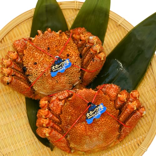【北の海から海鮮便り】 毛がに 北海道産 毛ガニ 蟹 かに 浜茹で お正月 お歳暮 ご贈答 (1kg)