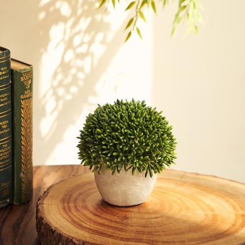 Image of Pure Home and Living Green Faux Round Grass with Cement Pot