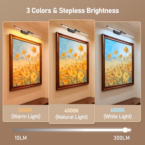 Image of Glendan 24 inch Brighter Picture Lights for Wall, Wireless Art Light