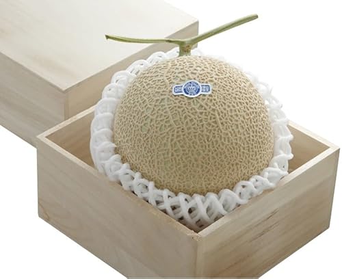 2025NΕ NE }XN 1 ˔ 2512206