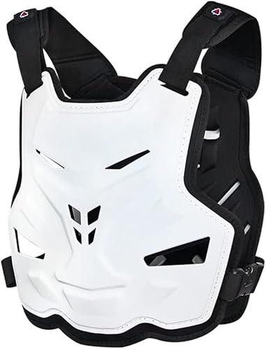 DUHAN Chaleco de armadura para motocicleta, protección de motocicleta, protector de espalda, chaleco de carreras de motocross, equipo de protección