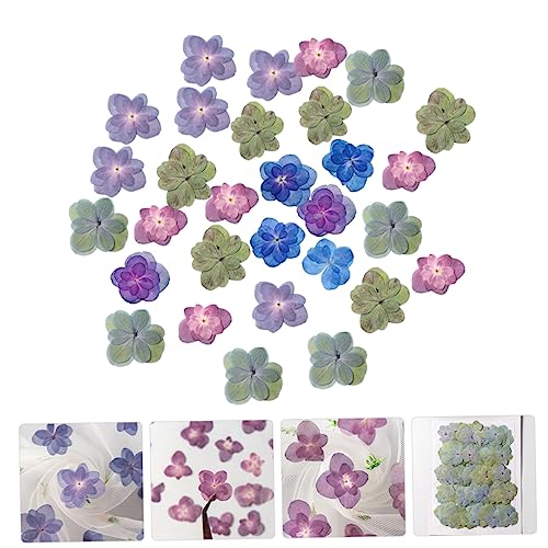 30 flores secas prensadas para manualidades DIY miniatura 5