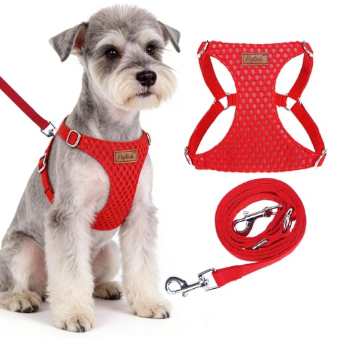 PUPTECK Dog Harness and Leash Set Small Sized, Lightweight Step-in Puppy Harness, Escape Proof No Pull Cute Pet Vest Harnesses, Red S