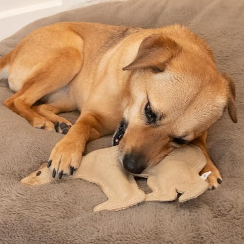 Jouets pour chien ours Ethical Animaux à coutures renforcées - 7