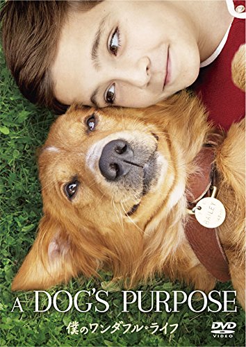 ワンダフルライフ　DVD-BOX Amazon.co.jp: 僕のワンダフル・ライフ [DVD] : ジョシュ