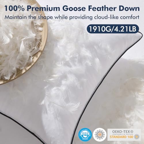 Image of MIULEE Goose Feather Down 26x26 Euro Pillow Insert Set of 2 with 100% Down-Proof Cotton Cover, Soft Fluffy Decorative Pillow for Sofa Bed Couch Living Room White