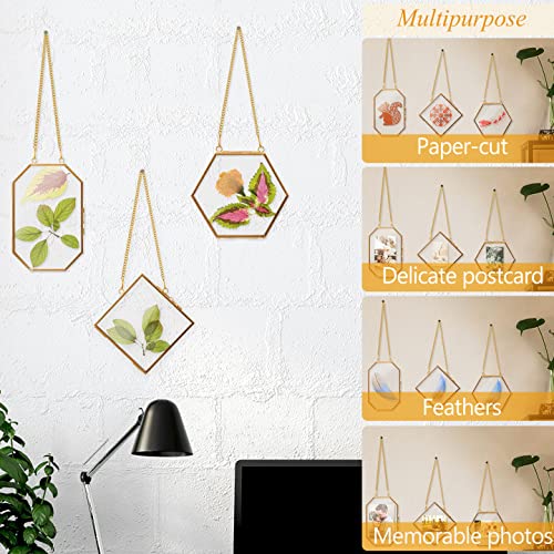 Apipi 3 Pcs Glass Frame For Pressed Flowers- Golden Hanging Glass Picture Frames With Chain- Hanging Brass Glass Frame- Pressed Flowers Glass Frames For Wall Decor Plant Specimen Photo Display #TOP2