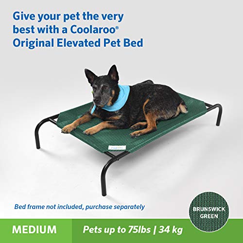 Image of Coolaroo Replacement Pet Bed Cover, Cooling, Washable, Indoor or Outdoor Dog Bed or Cat Bed, Medium (M), Brusnwick Green