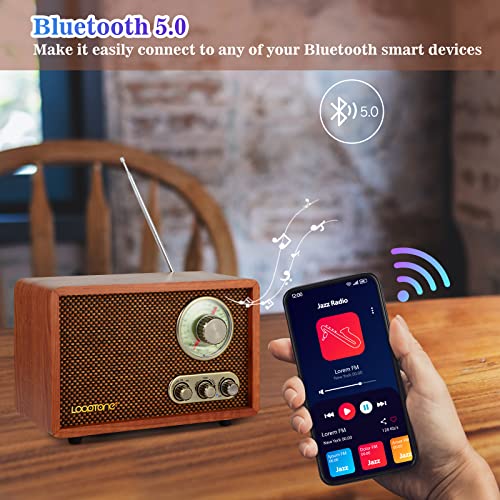 Radio Vintage LoopTone USB SD AM FM con Bluetooth miniatura 4