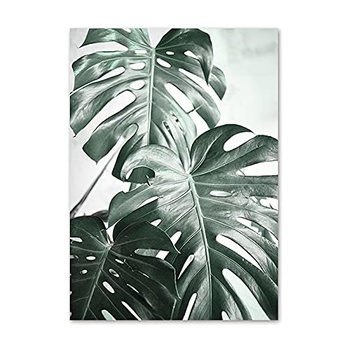 Affiche botanique moderne 50x75cm sans cadre pour grand mur vide