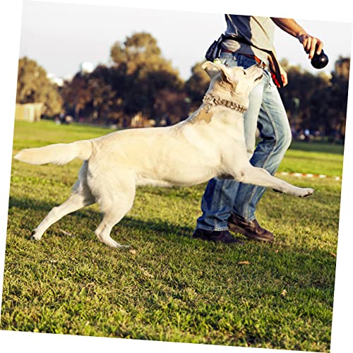 Collier chien durable et sûr pour éviter les irritations : accessoire confortable au cou