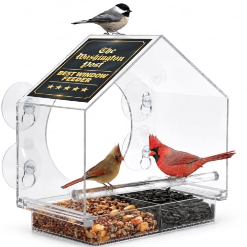 Window Bird Feeder with Strong Suction Cups